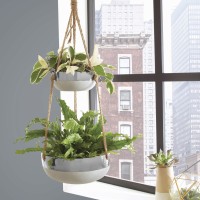 Better Homes and Gardens Faison Outdoor Double Hanging Planter   565821543